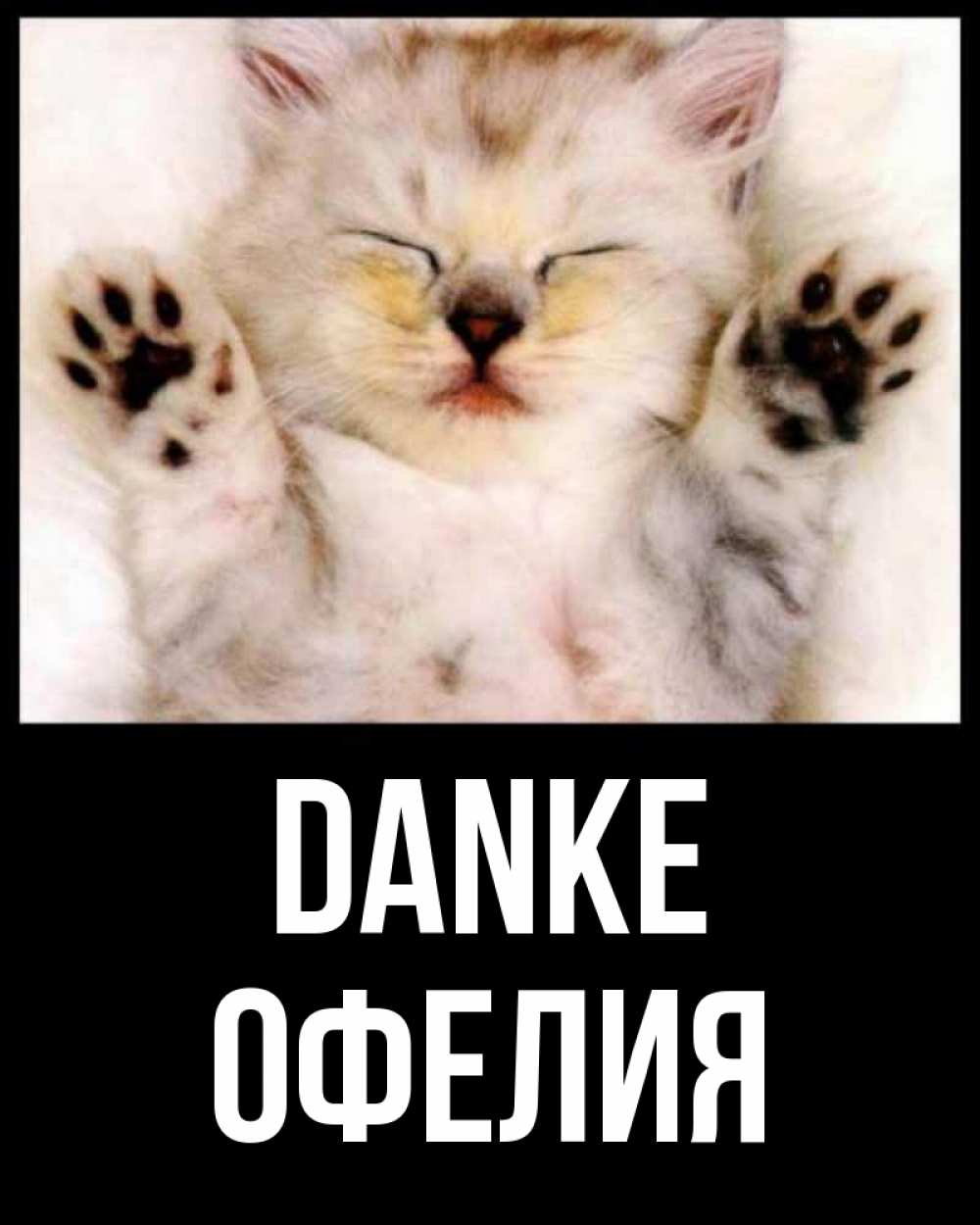 Открытка на каждый день с именем, Офелия Danke маленький котенок Прикольная открытка с пожеланием онлайн скачать бесплатно 