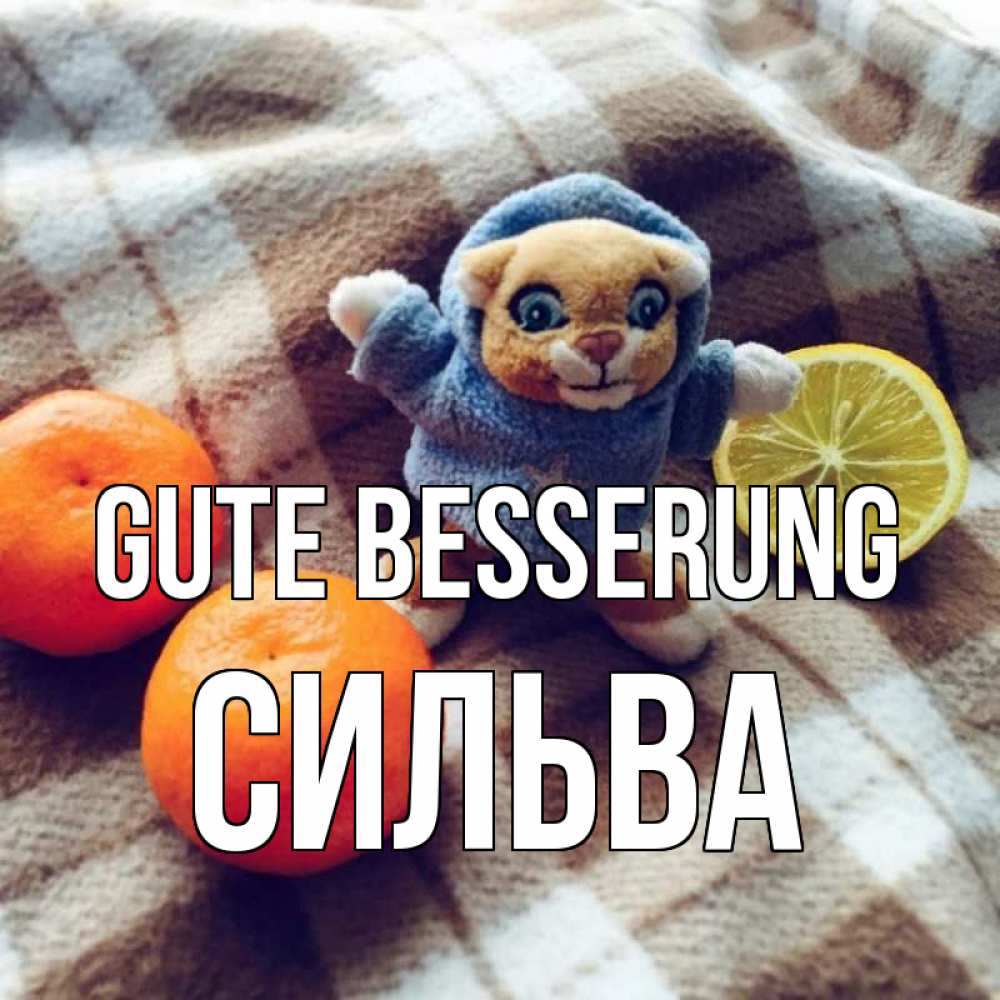 Открытка на каждый день с именем, Сильва Gute Besserung вот тебе апельсинка и лимон Прикольная открытка с пожеланием онлайн скачать бесплатно 