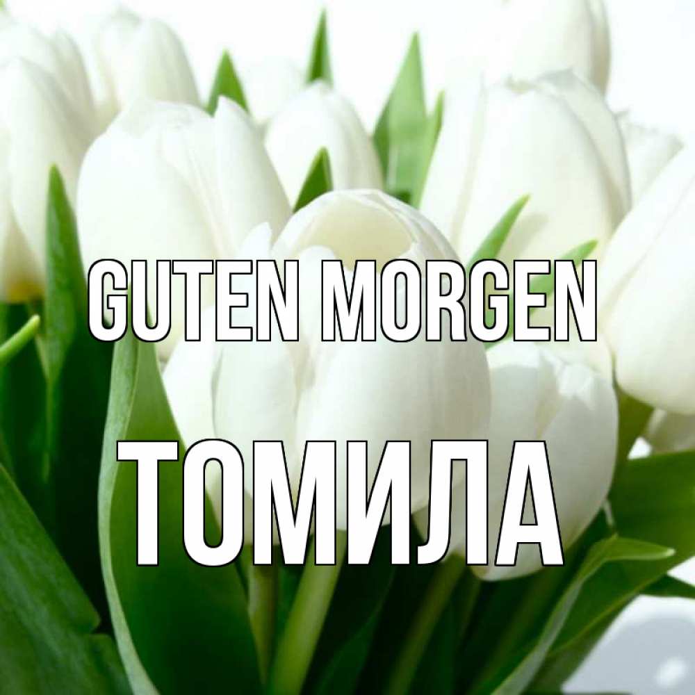 Открытка на каждый день с именем, Томила Guten Morgen открытки на каждый день по именам Прикольная открытка с пожеланием онлайн скачать бесплатно 