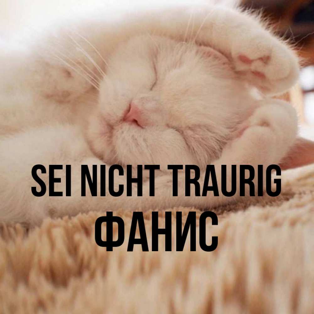 Открытка на каждый день с именем, Фанис Sei nicht traurig Котенок спит Прикольная открытка с пожеланием онлайн скачать бесплатно 