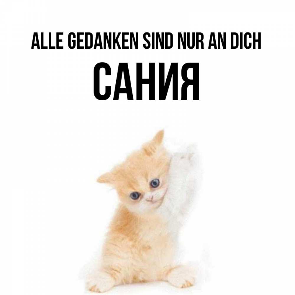 Открытка на каждый день с именем, Сания Alle Gedanken sind nur an dich зверушки и милота Прикольная открытка с пожеланием онлайн скачать бесплатно 