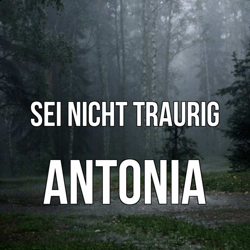 Открытка на каждый день с именем, Antonia Sei nicht traurig осень Прикольная открытка с пожеланием онлайн скачать бесплатно 