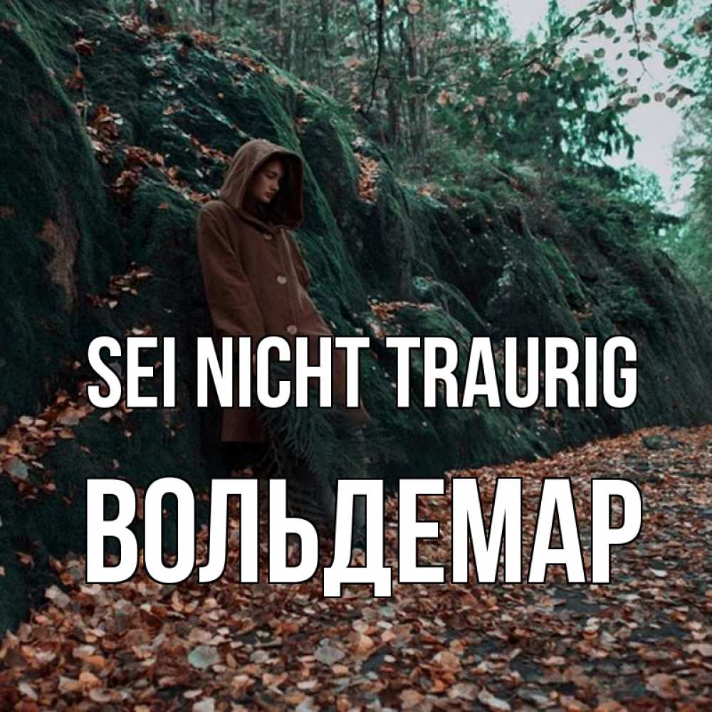 Открытка на каждый день с именем, Вольдемар Sei nicht traurig осенний лес Прикольная открытка с пожеланием онлайн скачать бесплатно 