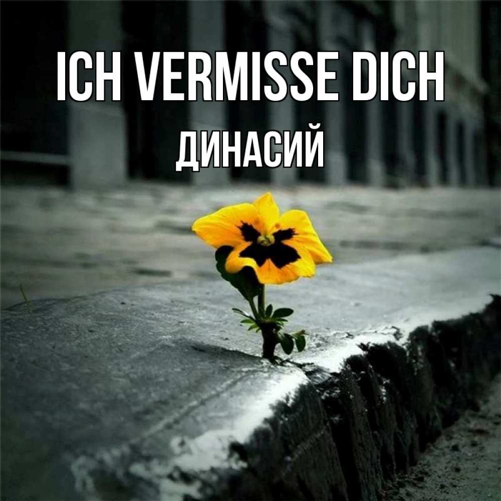Открытка на каждый день с именем, Динасий Ich vermisse dich надеюсь будет лучше Прикольная открытка с пожеланием онлайн скачать бесплатно 