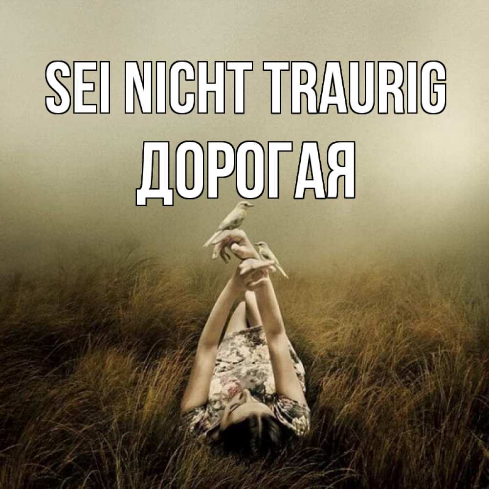 Открытка на каждый день с именем, Дорогая Sei nicht traurig поле и туман Прикольная открытка с пожеланием онлайн скачать бесплатно 