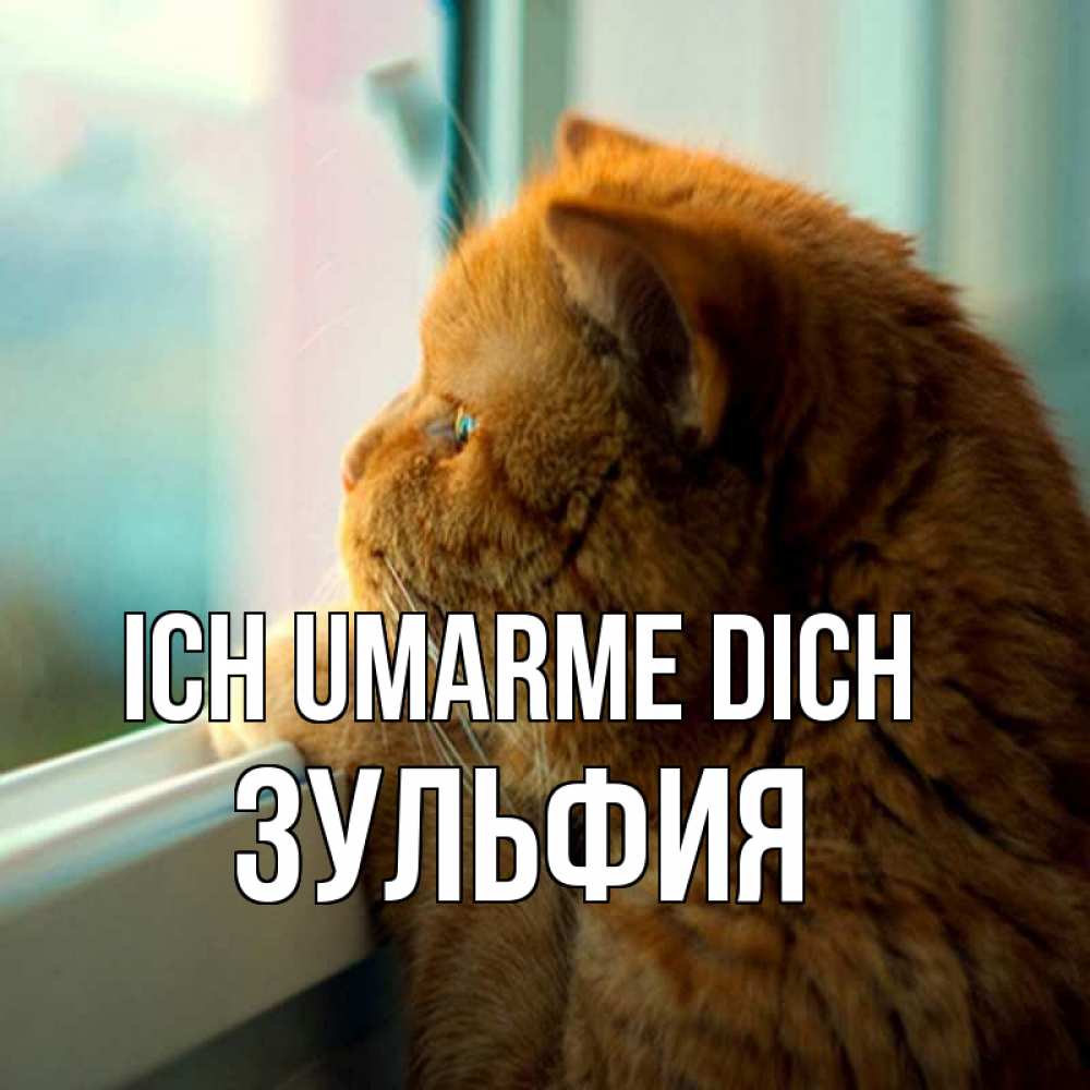 Открытка на каждый день с именем, Зульфия Ich umarme dich большой огромный рыжий котяра Прикольная открытка с пожеланием онлайн скачать бесплатно 