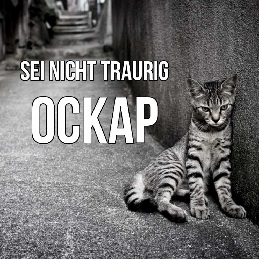 Открытка на каждый день с именем, Оскар Sei nicht traurig скучающий котик Прикольная открытка с пожеланием онлайн скачать бесплатно 