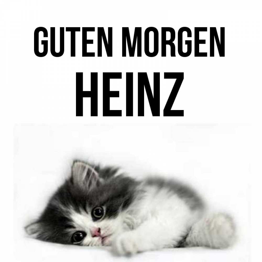Открытка на каждый день с именем, Heinz Guten Morgen кот лапки Прикольная открытка с пожеланием онлайн скачать бесплатно 