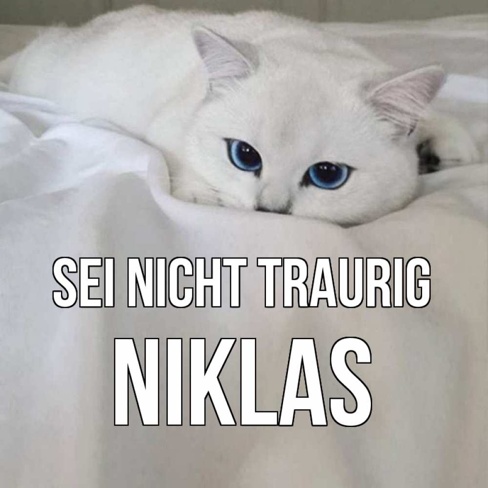 Открытка на каждый день с именем, Niklas Sei nicht traurig белый кот с голубыми глазами на белоснежной кровати Прикольная открытка с пожеланием онлайн скачать бесплатно 