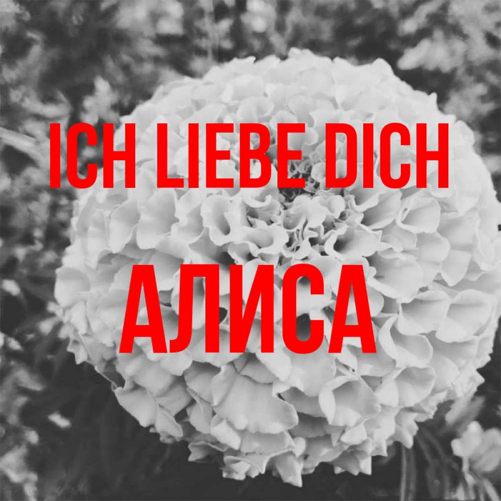 Открытка на каждый день с именем, Алиса Ich liebe dich подпись Прикольная открытка с пожеланием онлайн скачать бесплатно 