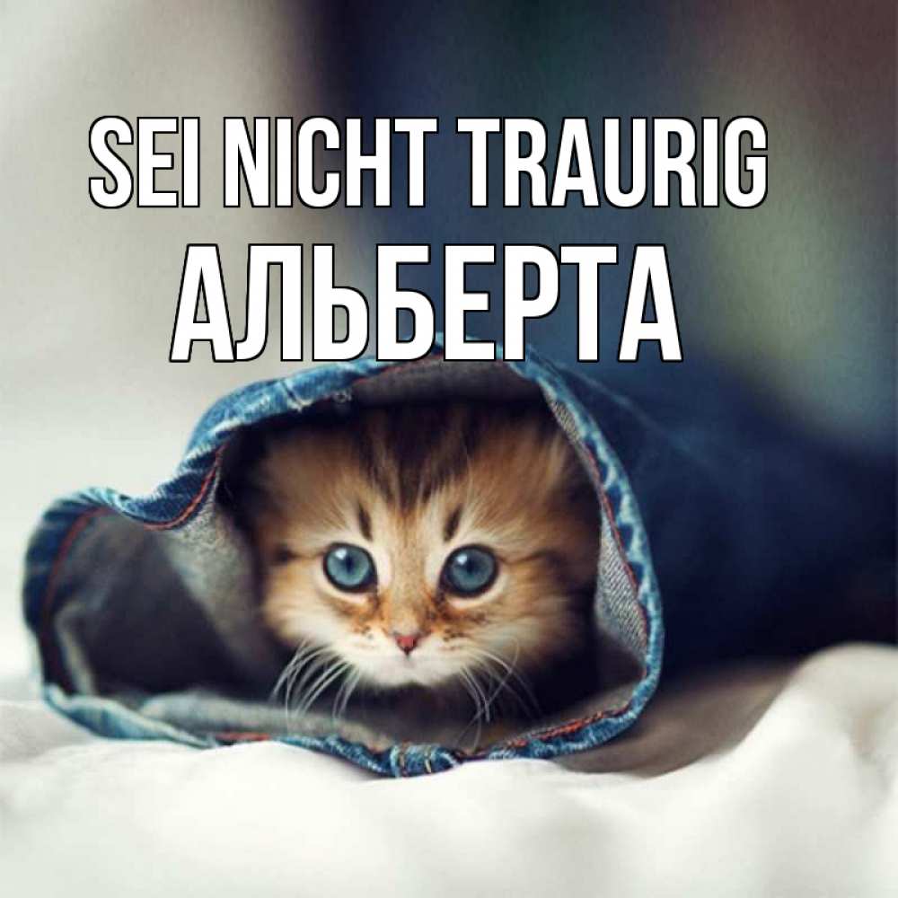 Открытка на каждый день с именем, Альберта Sei nicht traurig рыжик котик Прикольная открытка с пожеланием онлайн скачать бесплатно 