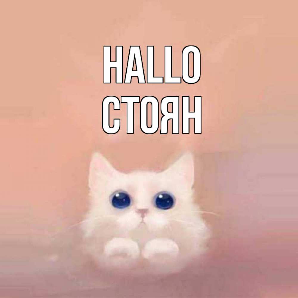 Открытка на каждый день с именем, Стоян Hallo котик белый в полете Прикольная открытка с пожеланием онлайн скачать бесплатно 