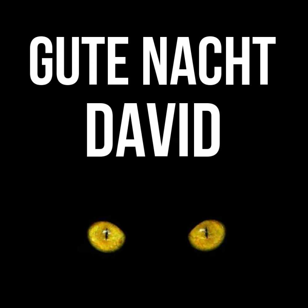 Открытка на каждый день с именем, David Gute Nacht сладких снов бесстрашный мой дружочек Прикольная открытка с пожеланием онлайн скачать бесплатно 