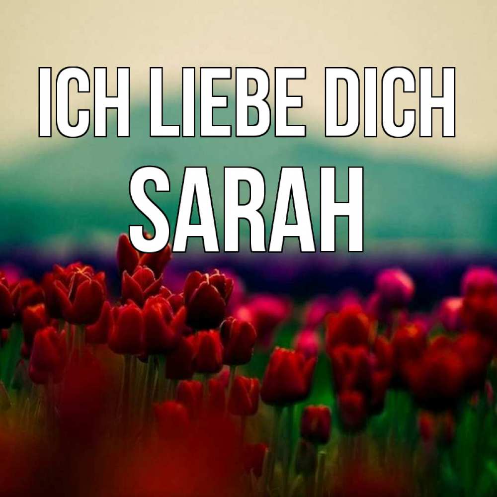 Открытка на каждый день с именем, Sarah Ich liebe dich тюльпаны 4 Прикольная открытка с пожеланием онлайн скачать бесплатно 
