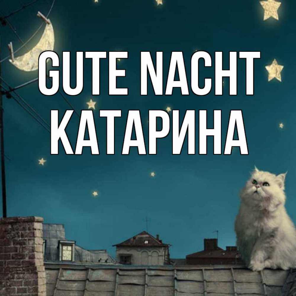 Открытка на каждый день с именем, Катарина Gute Nacht белый кот сидит на крыше Прикольная открытка с пожеланием онлайн скачать бесплатно 