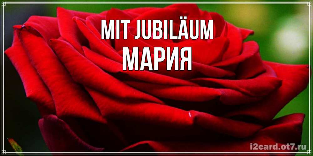 Открытка на каждый день с именем, Мария Mit Jubiläum розочка очень красивая Прикольная открытка с пожеланием онлайн скачать бесплатно 