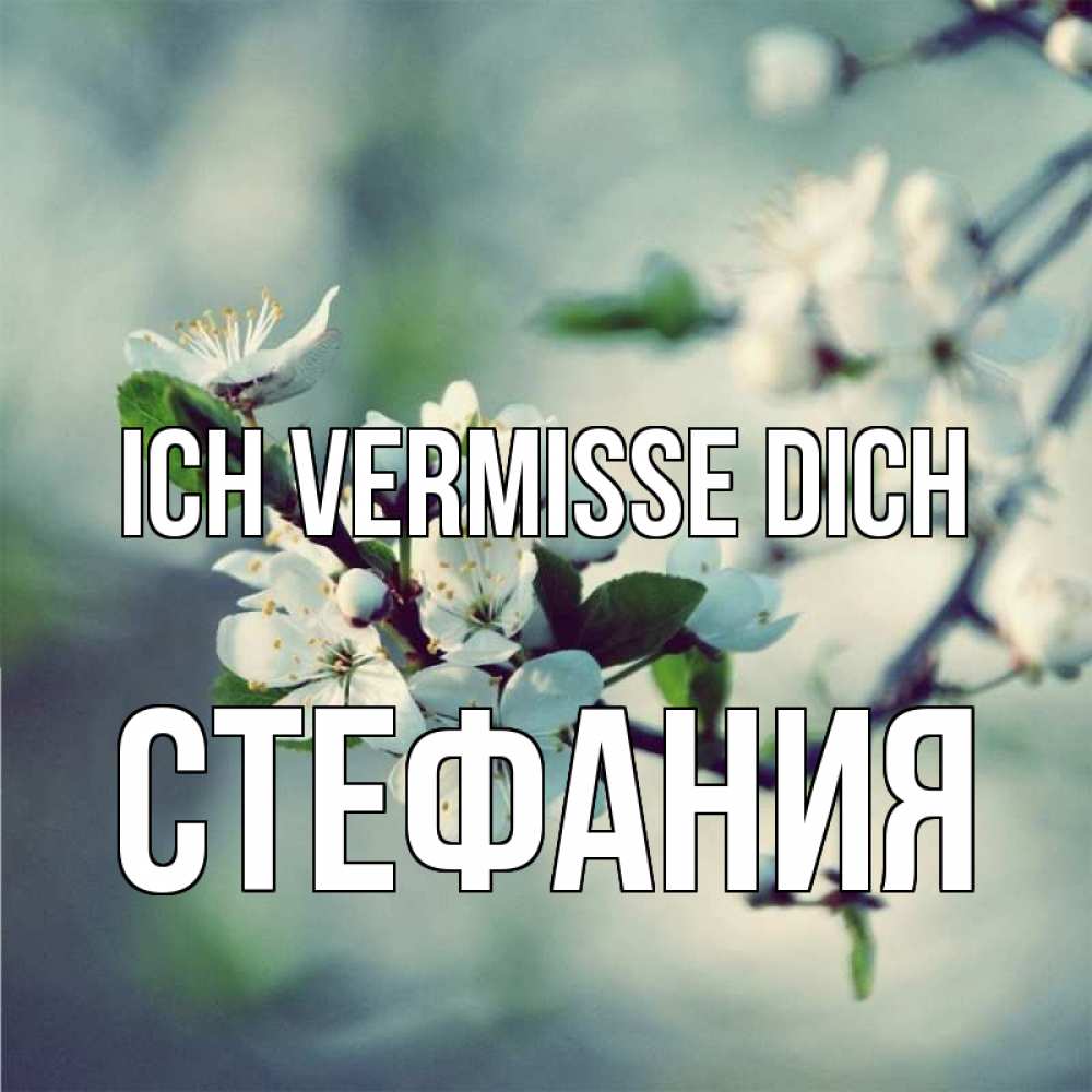 Открытка на каждый день с именем, Стефания Ich vermisse dich весна Прикольная открытка с пожеланием онлайн скачать бесплатно 
