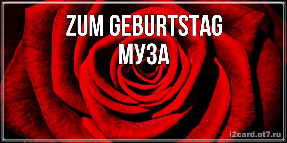 Открытка на каждый день с именем, Муза Zum Geburtstag алая роза Прикольная открытка с пожеланием онлайн скачать бесплатно 