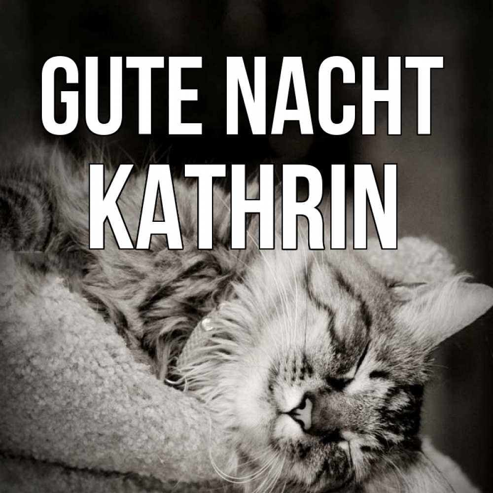 Открытка на каждый день с именем, Kathrin Gute Nacht котярик пушистый Прикольная открытка с пожеланием онлайн скачать бесплатно 