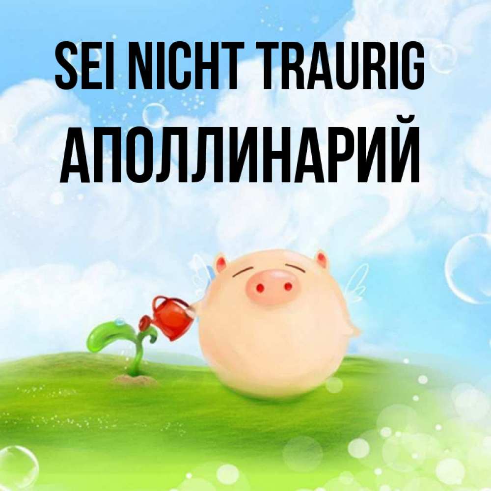 Открытка на каждый день с именем, Аполлинарий Sei nicht traurig поливает цветок порося Прикольная открытка с пожеланием онлайн скачать бесплатно 