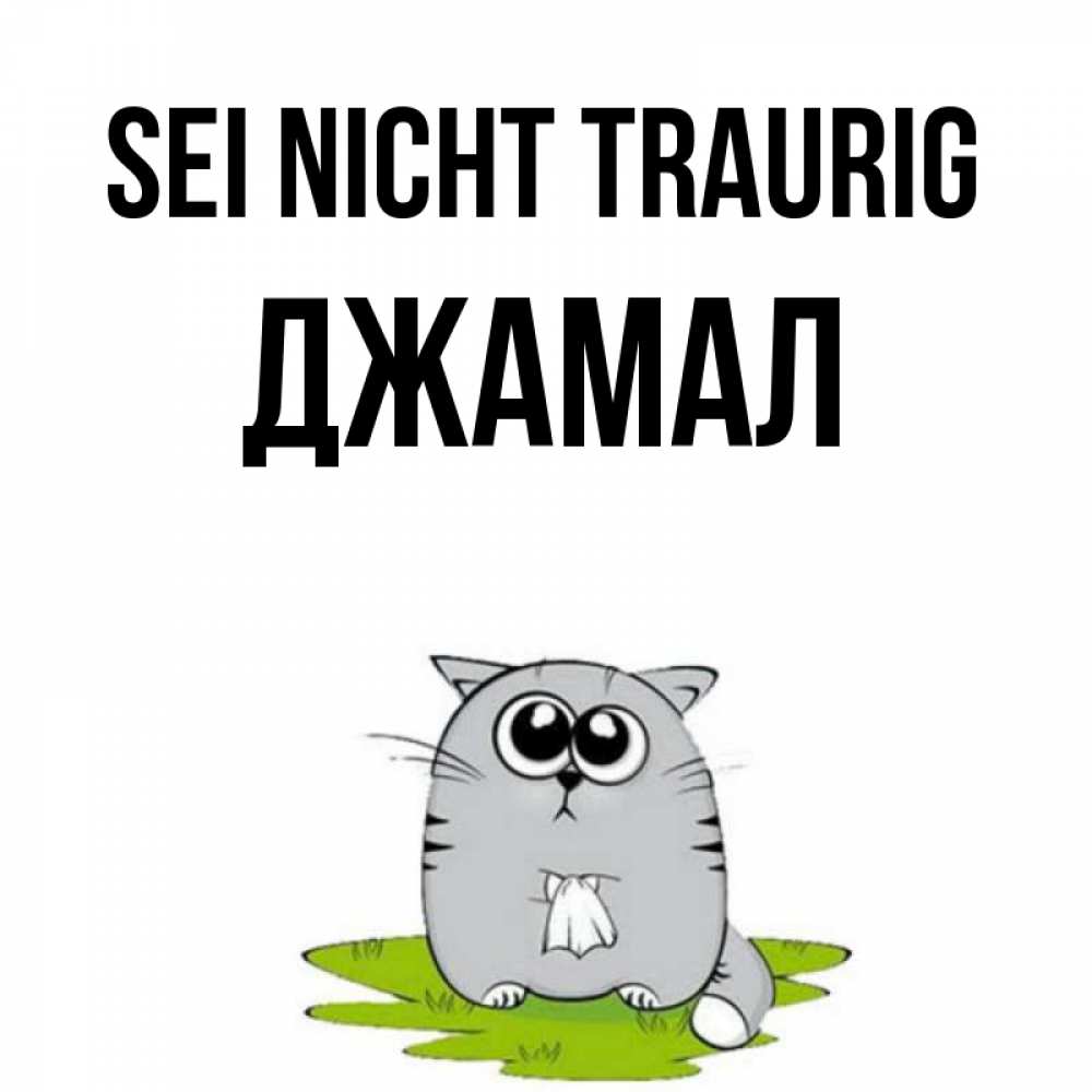 Открытка на каждый день с именем, Джамал Sei nicht traurig грустный котяра Прикольная открытка с пожеланием онлайн скачать бесплатно 