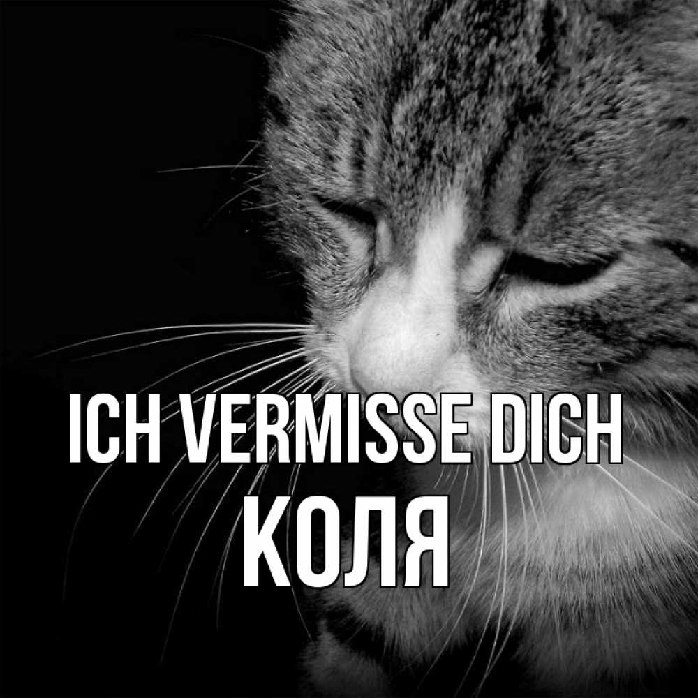 Открытка на каждый день с именем, Коля Ich vermisse dich мне скучно Прикольная открытка с пожеланием онлайн скачать бесплатно 
