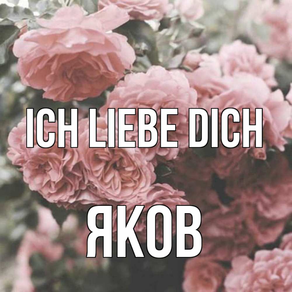 Открытка на каждый день с именем, Яков Ich liebe dich розы 3 Прикольная открытка с пожеланием онлайн скачать бесплатно 