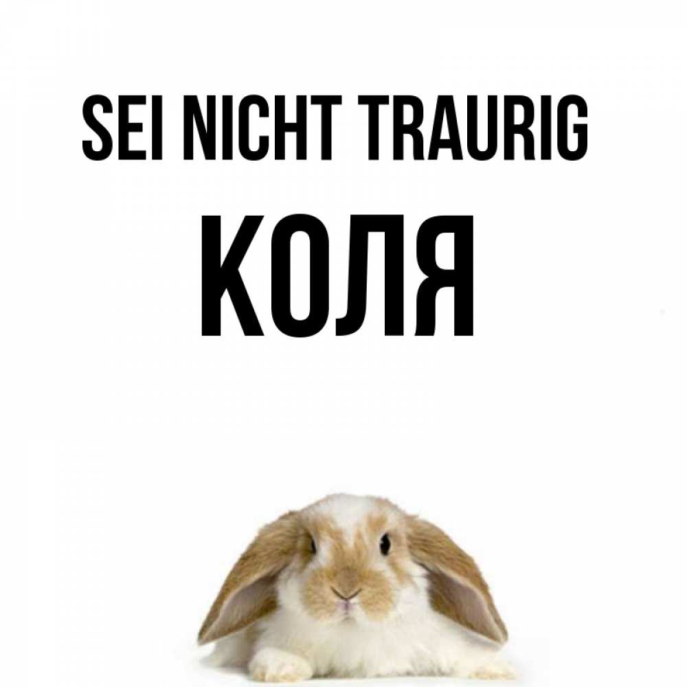 Открытка на каждый день с именем, Коля Sei nicht traurig коричнево белый заяц с большими ушками Прикольная открытка с пожеланием онлайн скачать бесплатно 