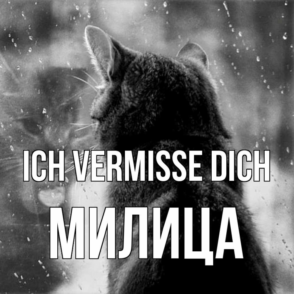 Открытка на каждый день с именем, Милица Ich vermisse dich скорее ко мне приходи 1 Прикольная открытка с пожеланием онлайн скачать бесплатно 