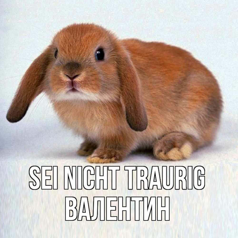 Открытка на каждый день с именем, Валентин Sei nicht traurig рыжий зая Прикольная открытка с пожеланием онлайн скачать бесплатно 
