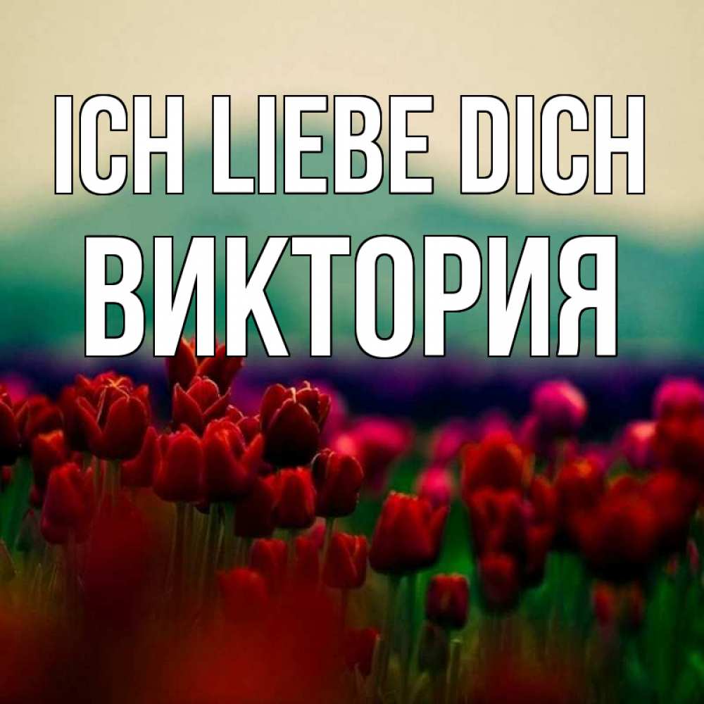 Открытка на каждый день с именем, Виктория Ich liebe dich тюльпаны 4 Прикольная открытка с пожеланием онлайн скачать бесплатно 