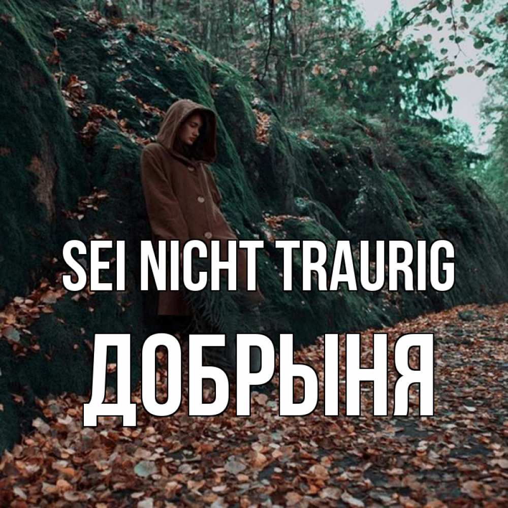 Открытка на каждый день с именем, Добрыня Sei nicht traurig осенний лес Прикольная открытка с пожеланием онлайн скачать бесплатно 