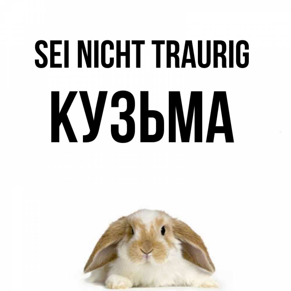 Открытка на каждый день с именем, Кузьма Sei nicht traurig коричнево белый заяц с большими ушками Прикольная открытка с пожеланием онлайн скачать бесплатно 
