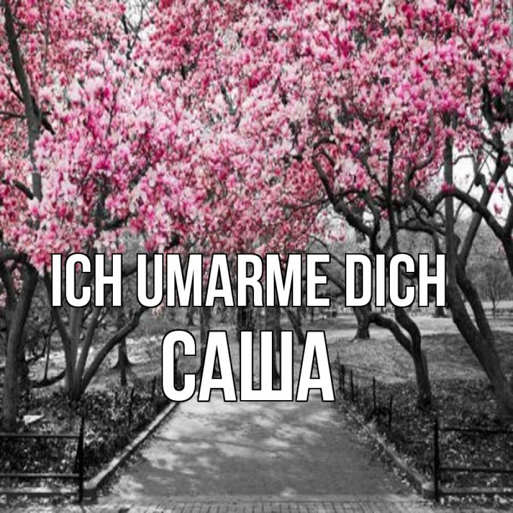 Открытка на каждый день с именем, Саша Ich umarme dich обработанное фото Прикольная открытка с пожеланием онлайн скачать бесплатно 