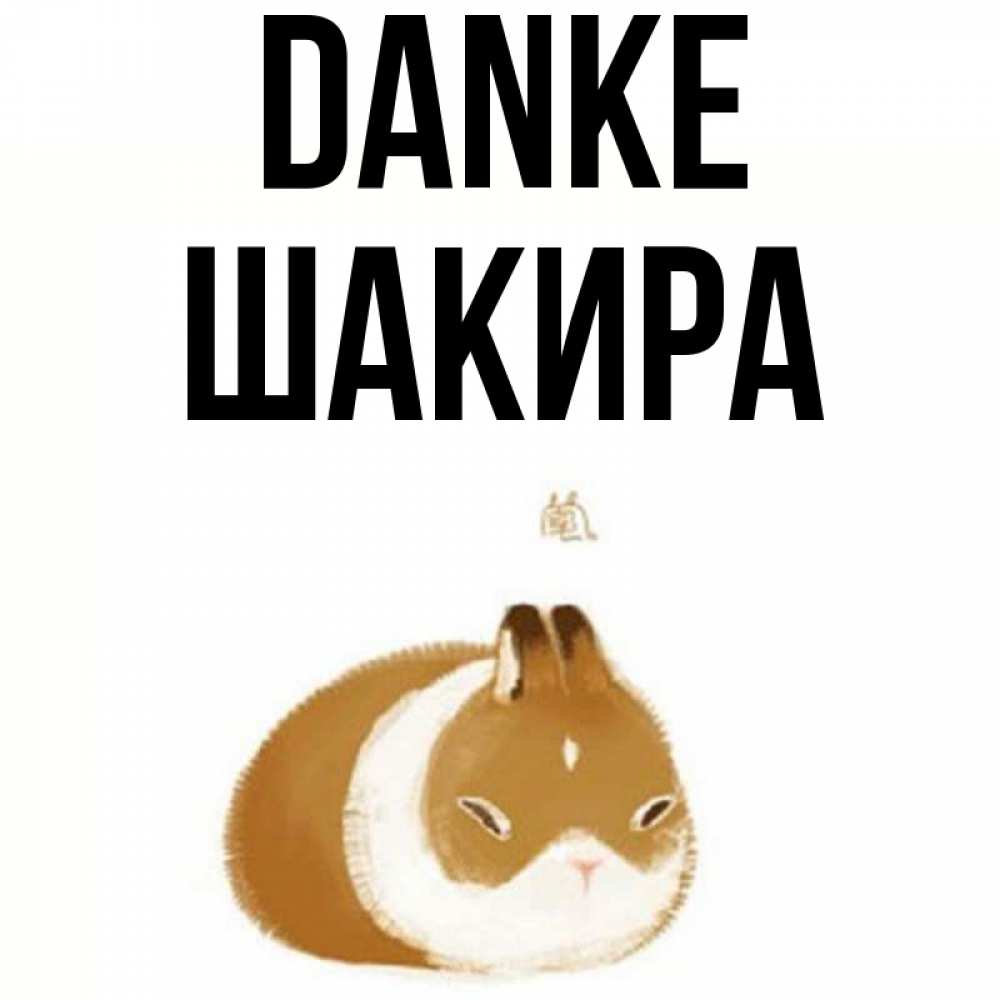 Открытка на каждый день с именем, Шакира Danke коричнево белый домашний питомец Прикольная открытка с пожеланием онлайн скачать бесплатно 