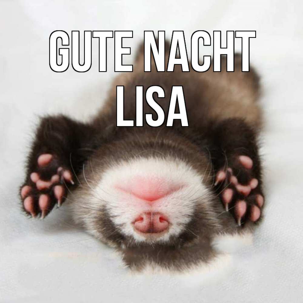 Открытка на каждый день с именем, Lisa Gute Nacht зверек Прикольная открытка с пожеланием онлайн скачать бесплатно 