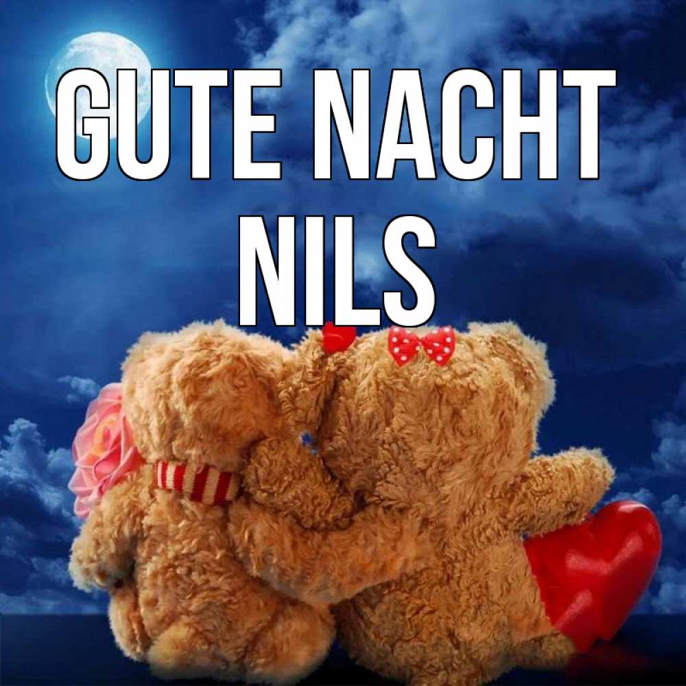 Открытка на каждый день с именем, Nils Gute Nacht плюшевые Прикольная открытка с пожеланием онлайн скачать бесплатно 