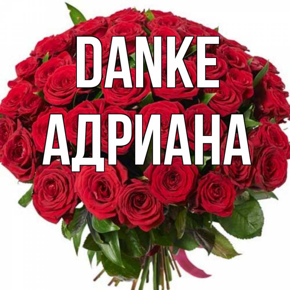 Открытка на каждый день с именем, Адриана Danke букет красных роз Прикольная открытка с пожеланием онлайн скачать бесплатно 