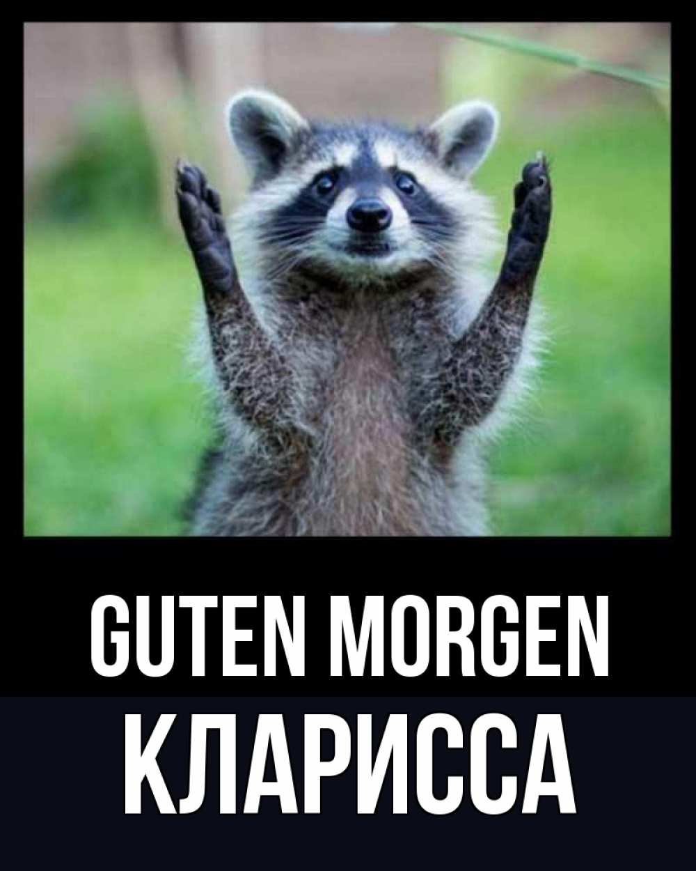 Открытка на каждый день с именем, Кларисса Guten Morgen хорошее настроение утречком Прикольная открытка с пожеланием онлайн скачать бесплатно 