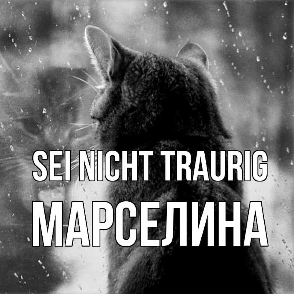 Открытка на каждый день с именем, Марселина Sei nicht traurig отражение кота 1 Прикольная открытка с пожеланием онлайн скачать бесплатно 