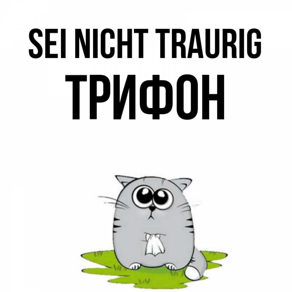 Открытка на каждый день с именем, Трифон Sei nicht traurig грустный котяра Прикольная открытка с пожеланием онлайн скачать бесплатно 