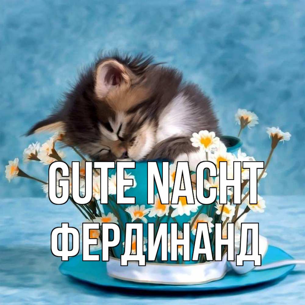 Открытка на каждый день с именем, Фердинанд Gute Nacht котенок спит в кружке с блюдцем Прикольная открытка с пожеланием онлайн скачать бесплатно 