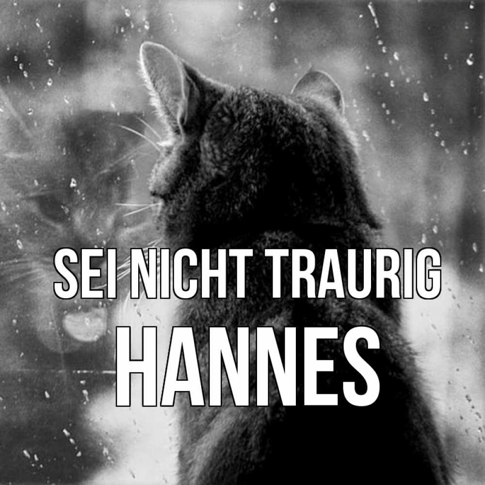 Открытка на каждый день с именем, Hannes Sei nicht traurig отражение кота 1 Прикольная открытка с пожеланием онлайн скачать бесплатно 