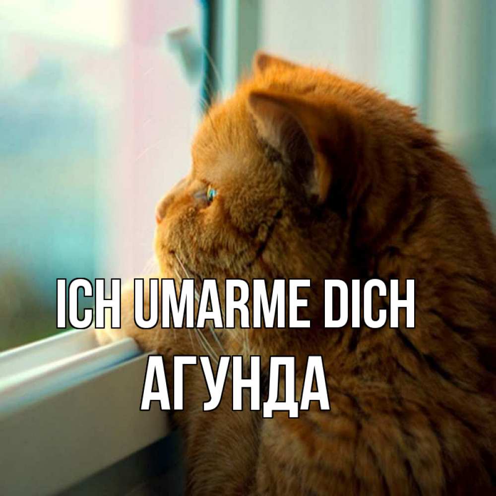 Открытка на каждый день с именем, Агунда Ich umarme dich большой огромный рыжий котяра Прикольная открытка с пожеланием онлайн скачать бесплатно 