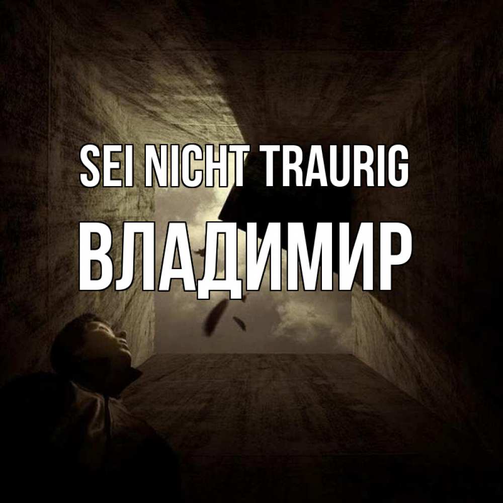 Открытка на каждый день с именем, Владимир Sei nicht traurig жуть Прикольная открытка с пожеланием онлайн скачать бесплатно 