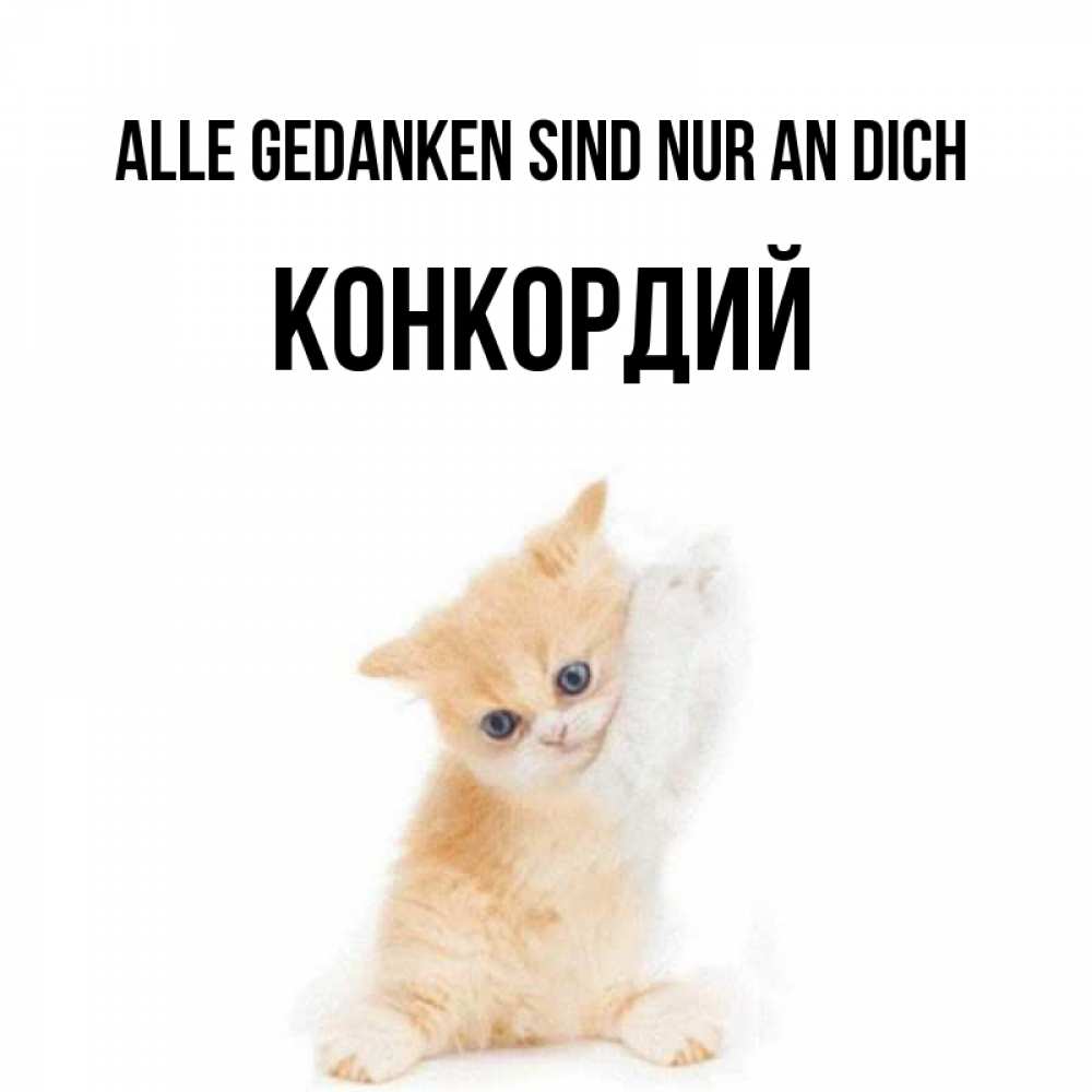 Открытка на каждый день с именем, Конкордий Alle Gedanken sind nur an dich зверушки и милота Прикольная открытка с пожеланием онлайн скачать бесплатно 