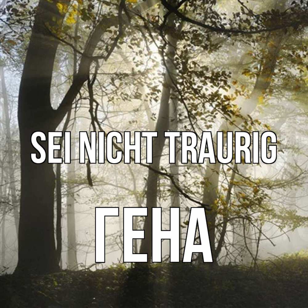 Открытка на каждый день с именем, Гена Sei nicht traurig лес и свет Прикольная открытка с пожеланием онлайн скачать бесплатно 