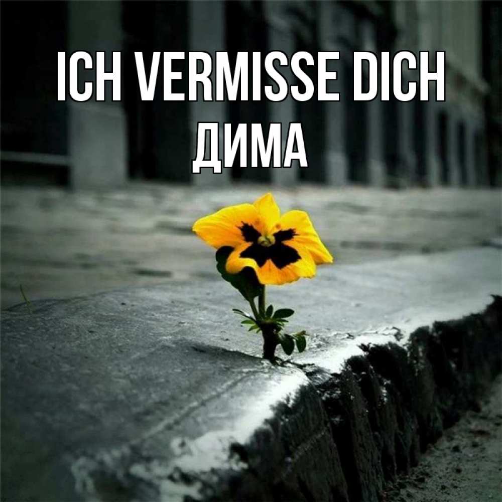 Открытка на каждый день с именем, Дима Ich vermisse dich надеюсь будет лучше Прикольная открытка с пожеланием онлайн скачать бесплатно 