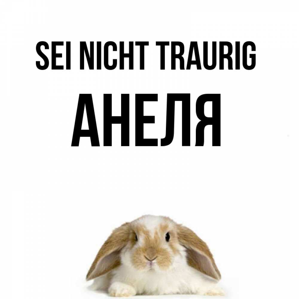 Открытка на каждый день с именем, Анеля Sei nicht traurig коричнево белый заяц с большими ушками Прикольная открытка с пожеланием онлайн скачать бесплатно 