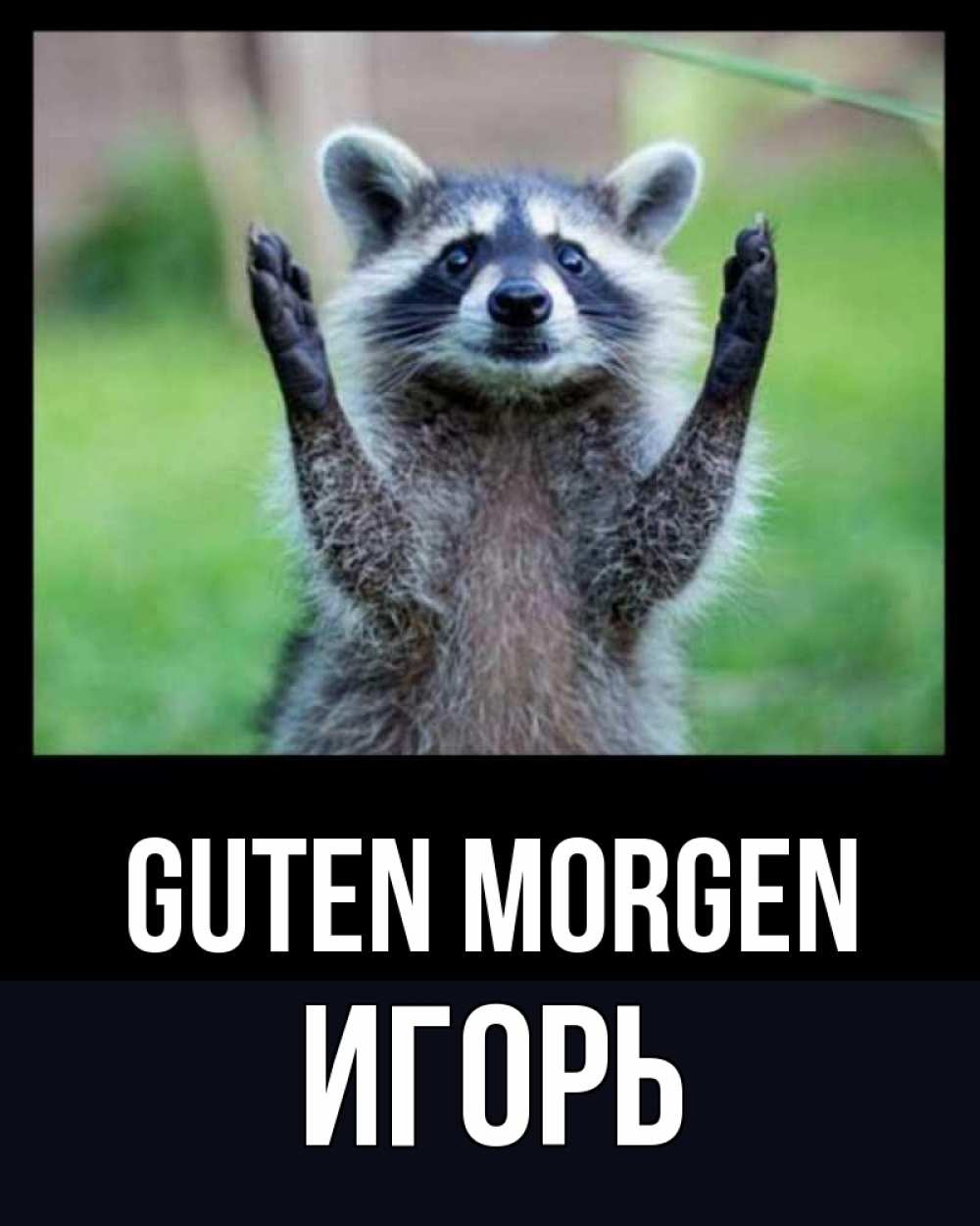 Открытка на каждый день с именем, Игорь Guten Morgen хорошее настроение утречком Прикольная открытка с пожеланием онлайн скачать бесплатно 